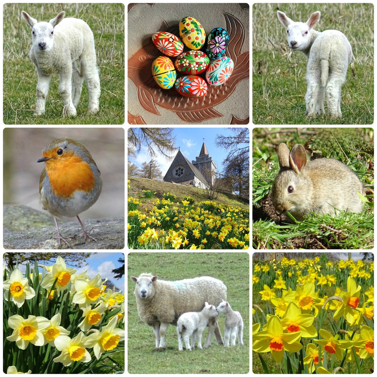 #Easter is.. Joining in a birdsong, Smelling yellow daffodils, Skipping through meadows, Cuddling newborns, Hoping, believing, Inhaling fresh air, Sprinkling seeds along furrows. Easter is the soul’s first taste of #spring. Richelle E. Goodrich Happy #EasterWeekend .. 🐣🐰💛🕊