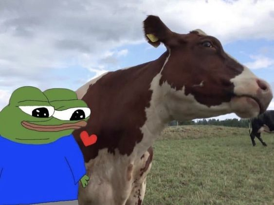 Rusk0f tweet media