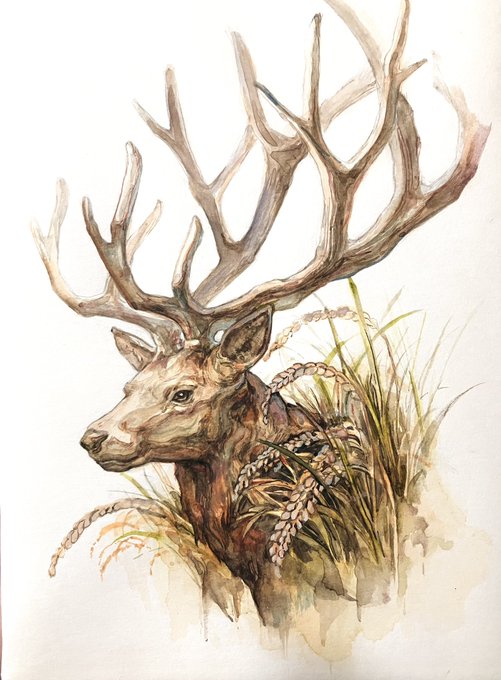 「deer」 illustration images(Latest)