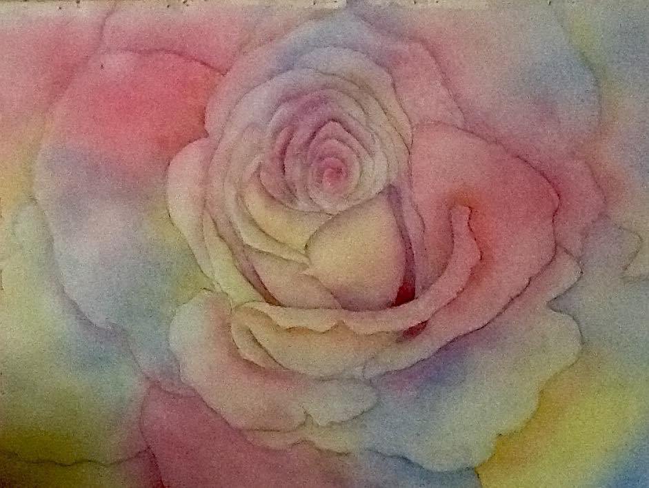 Happy Easter weekend to all those celebrating. Here’s my watercolour rose to brighten up the grey skies here today.