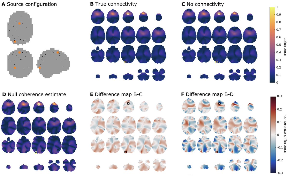 Imaging Neuroscience tweet media