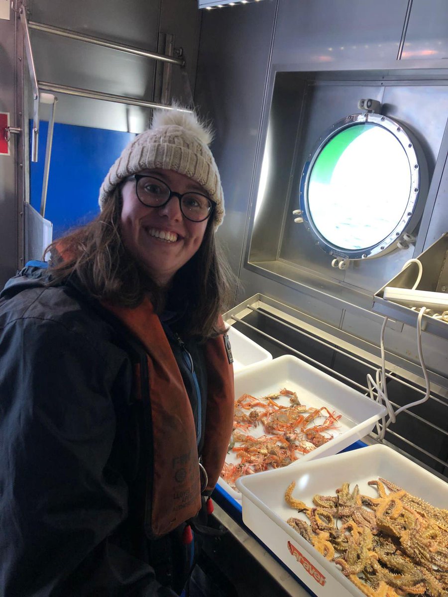 🆕#GRECO member!

Siadbh O’Donnell O’Neill  from  @IMBRSea  is doing her #MSc thesis with @GRECOresearch.

She will be researching the cumulative and interacting effects of environmental pressures on the #spatiotemporal patterns of #biodiversity in the western Mediterranean Sea.