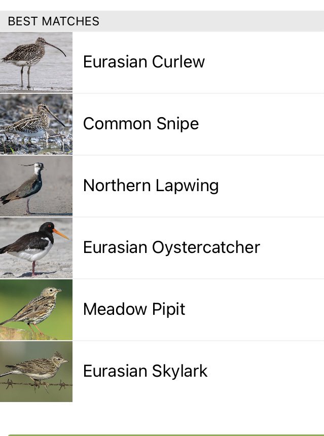 Sharon Hammell (@hammellsharon) on Twitter photo I'm set up for the day after listening in to these #FeatheredFriends on my morning dog walk in the Cairngorms National Park. #WeeWalksBigRewards <a href="/RSPBScotland/">RSPB Scotland</a> I'm set up for the day after listening in to these #FeatheredFriends on my morning dog walk in the Cairngorms National Park. #WeeWalksBigRewards <a href="/RSPBScotland/">RSPB Scotland</a>