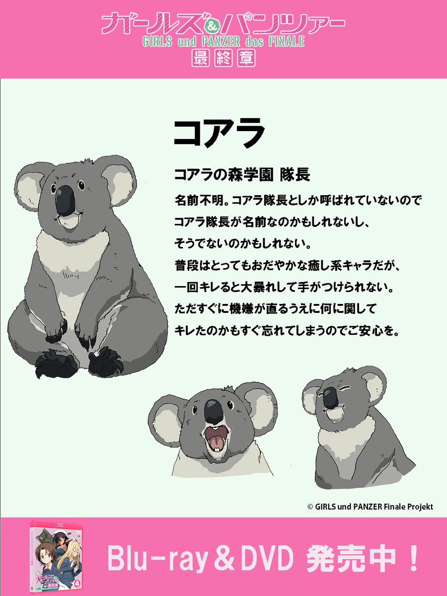 RT @garupan: 【キャラクター紹介①】 コアラの森学園 隊長 コアラ