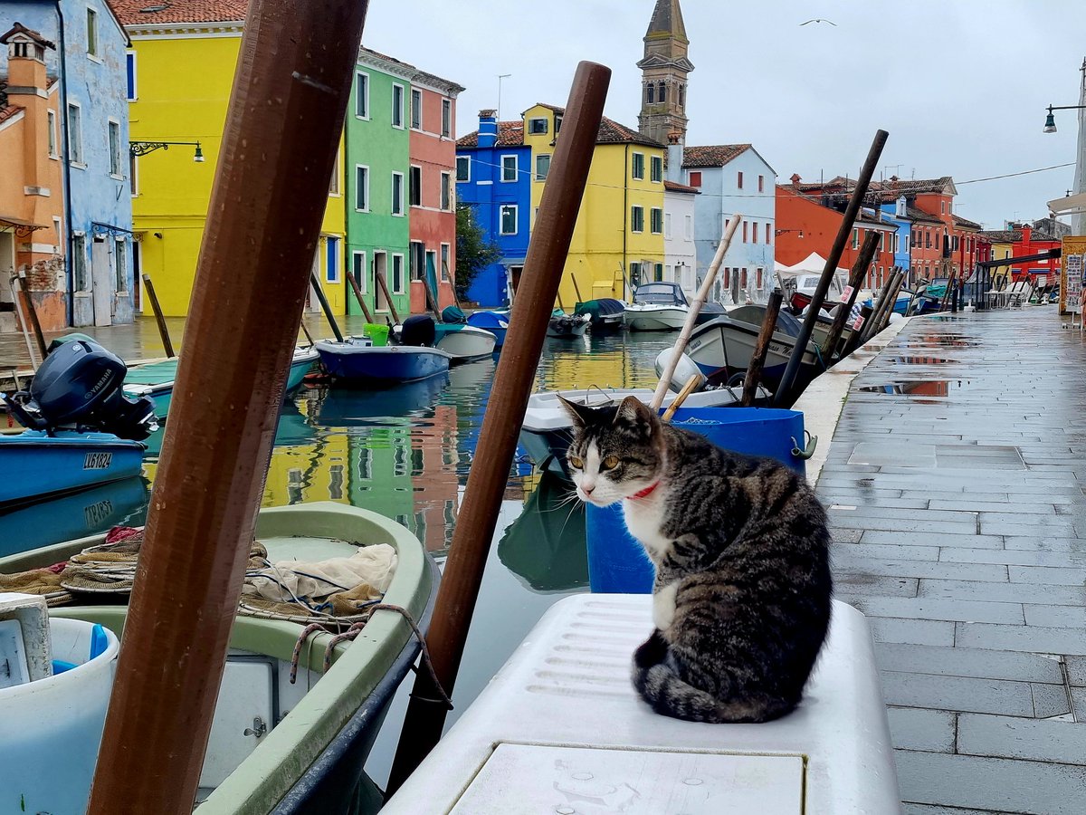 Aus der Rubrik: Orte, die sogar im Regen wunderschön sind. #Burano