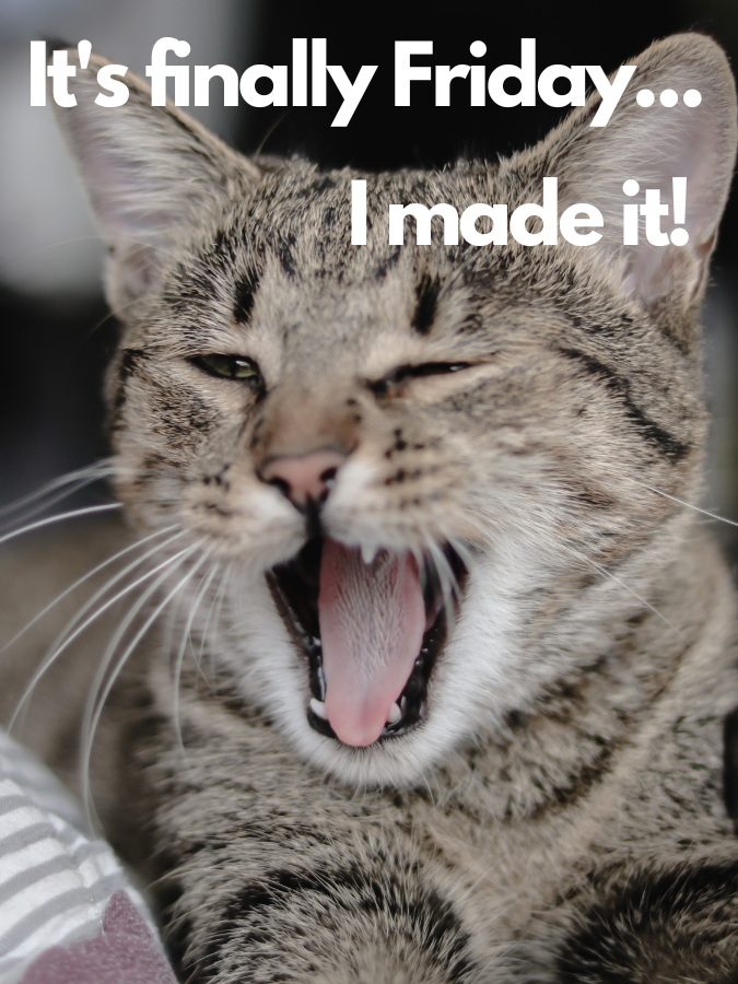 TinyScanner_app's tweet image. It&apos;s Friday and the weekend is almost here!
#FridayFeeling