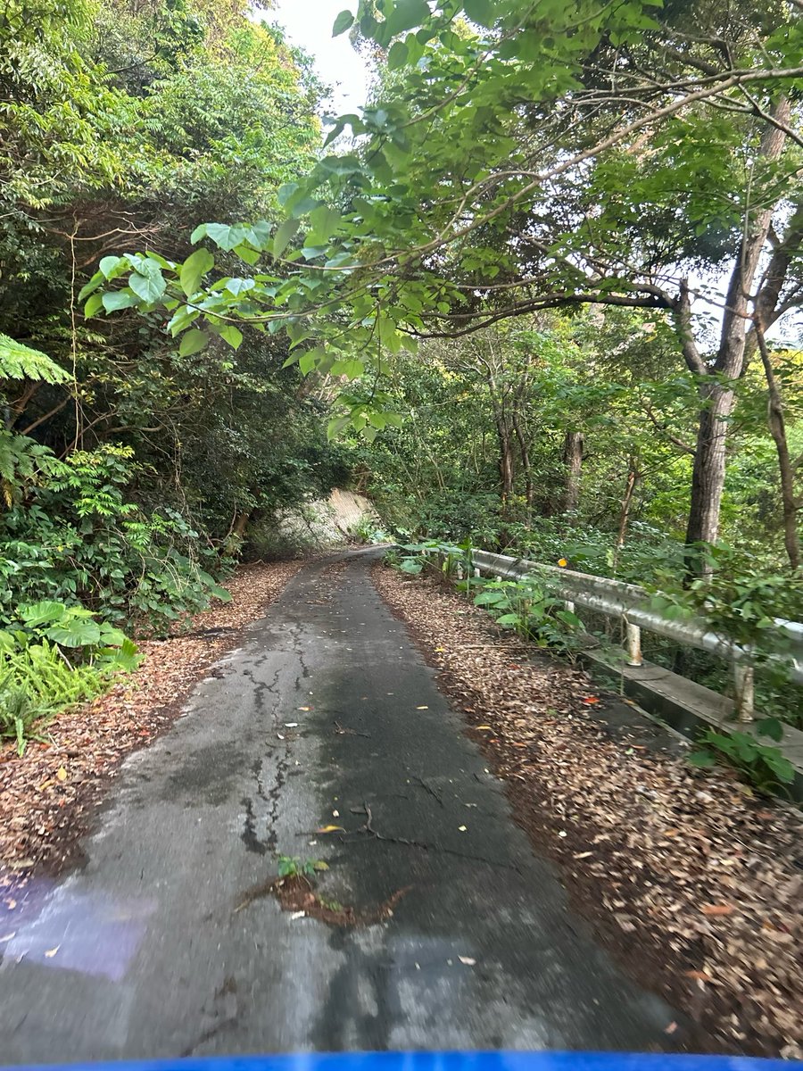 S3Dus's tweet photo. 道はあってそうだけど、通行止めとかでバックは嫌よー🤢 https://t.co/wlUtfQWGlN