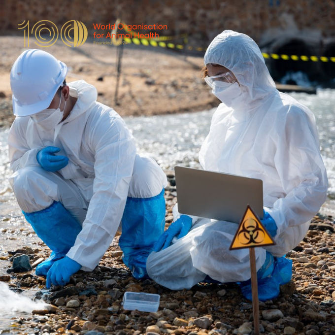 In collaboration with @FAO and @INTERPOL_CBRNE, we're strengthening #resilience against agro-terrorism and agro-crime in the #MiddleEast. Vulnerability assessments, tool development and emergency training equip veterinary and law enforcement sectors to tackle these threats.