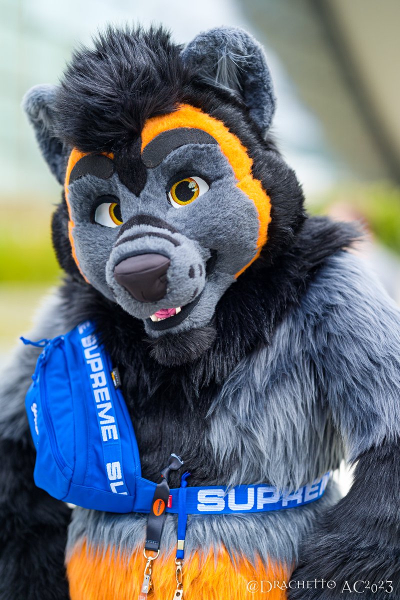 DraggyInstants's tweet photo. 🐾 @RoyceWolverine
✂️ @TheKarelia
📷 @Drachetto
🌍 #AC2023

I take pictures for free, If you like them or you got some of your fursuit by me please consider to support me ☕️ https://t.co/hdc6IGI3Hu

📢 #FursuitFriday #Fursuit @FurRetweet https://t.co/98WgzhSlla