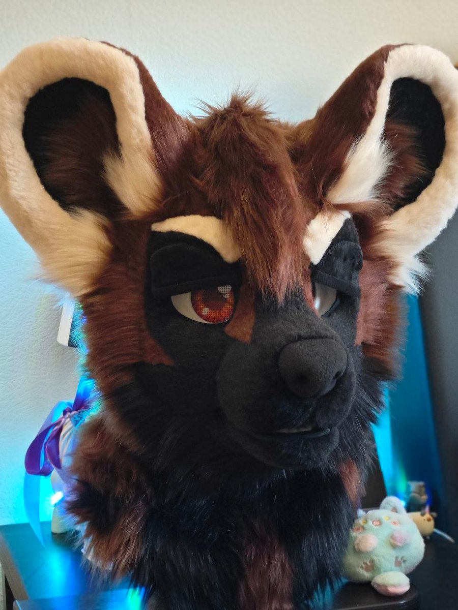 Tigress_Zews's tweet image. These are not all the eyelids, but I can&apos;t upload more of them due to restrictions(
He&apos;s amazing 🤎🖤
#fur #fursuitmaker #fursuitbase #fursuitcommissions #fursona #fursuitbuilder #fursuitpartial #fursuit #fursuitdancer #fursuiting #furry #furryfandom #fursuit #fursuitmaker