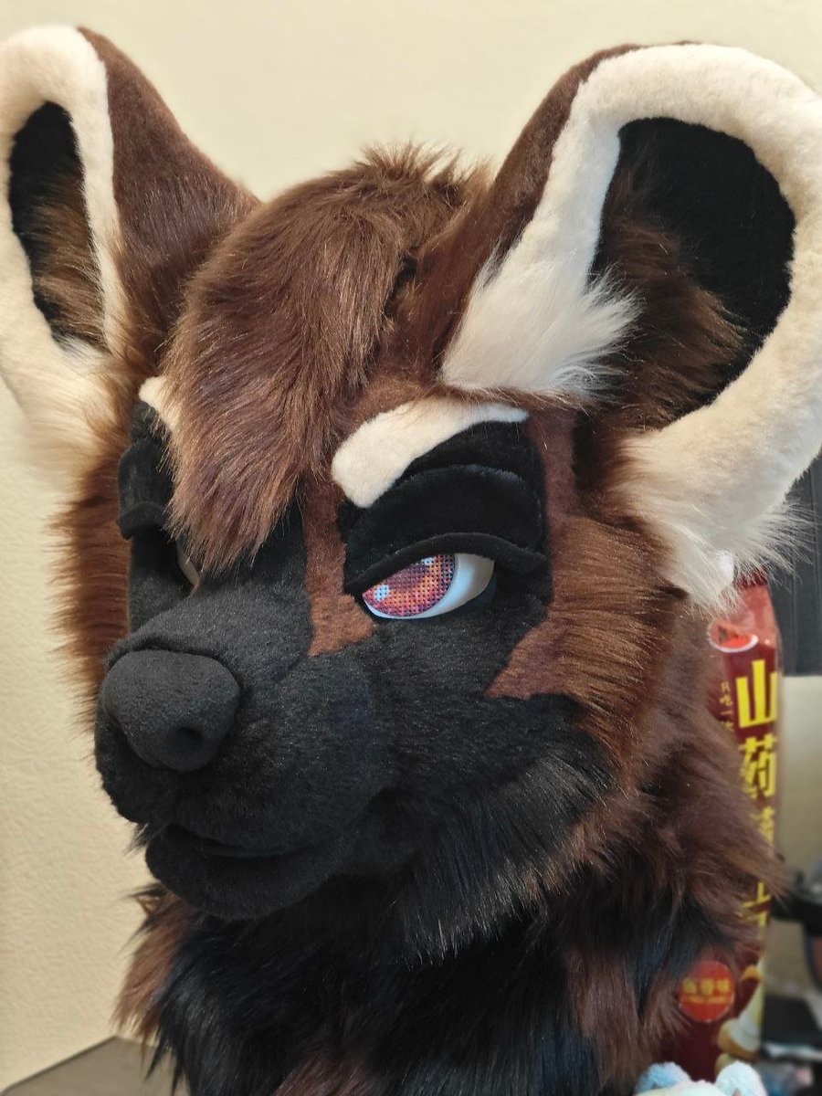 Tigress_Zews's tweet image. These are not all the eyelids, but I can&apos;t upload more of them due to restrictions(
He&apos;s amazing 🤎🖤
#fur #fursuitmaker #fursuitbase #fursuitcommissions #fursona #fursuitbuilder #fursuitpartial #fursuit #fursuitdancer #fursuiting #furry #furryfandom #fursuit #fursuitmaker
