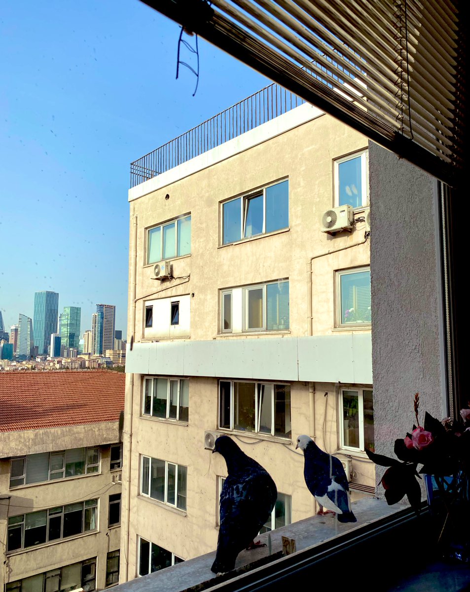 sevenler elbet kavuşur