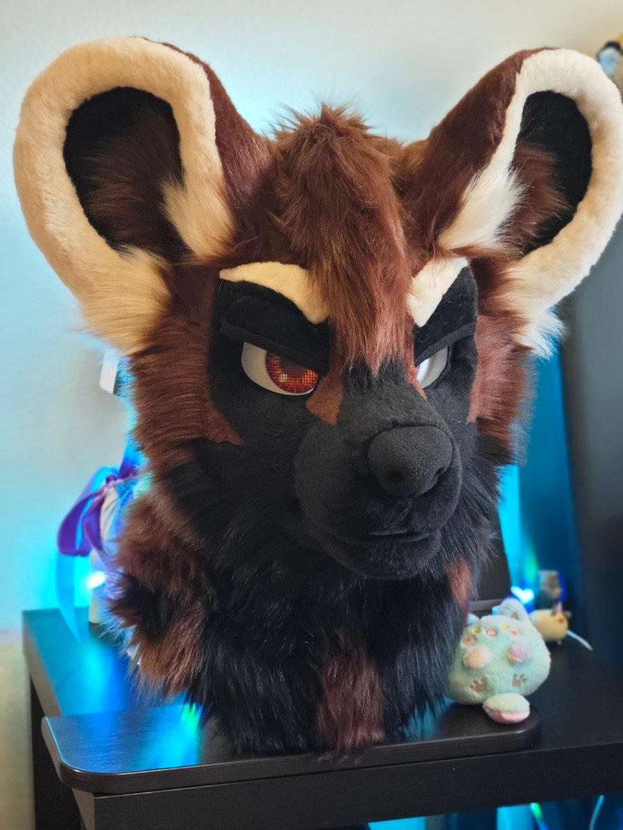 Tigress_Zews's tweet image. These are not all the eyelids, but I can&apos;t upload more of them due to restrictions(
He&apos;s amazing 🤎🖤
#fur #fursuitmaker #fursuitbase #fursuitcommissions #fursona #fursuitbuilder #fursuitpartial #fursuit #fursuitdancer #fursuiting #furry #furryfandom #fursuit #fursuitmaker