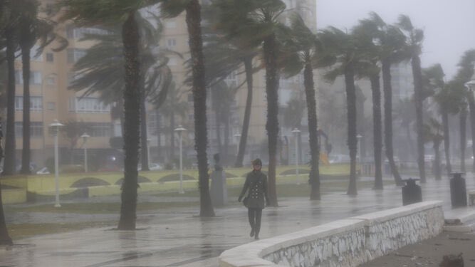 jeketiezo's tweet photo. Málaga durante toda la Semana Santa // Málaga el lunes que viene. https://t.co/t8NleZvTce