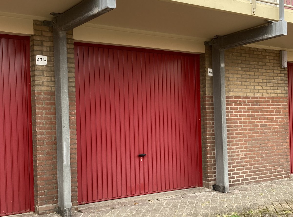 WormerWonen tweet media