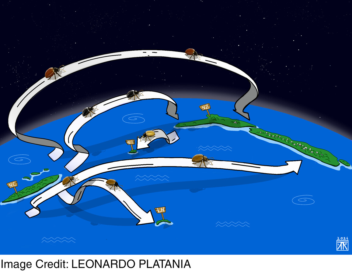 New Caledonian rovers and the historical #biogeography of a hyper-diverse endemic lineage of South Pacific leaf beetles: doi.org/10.1111/syen.1… 
#OpenAccess #Chrysomelidae #Eumolpinae #Biodiversity