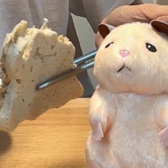 뚱중네컷
애가 왤케 묘하게 집에 우환잇어보이지