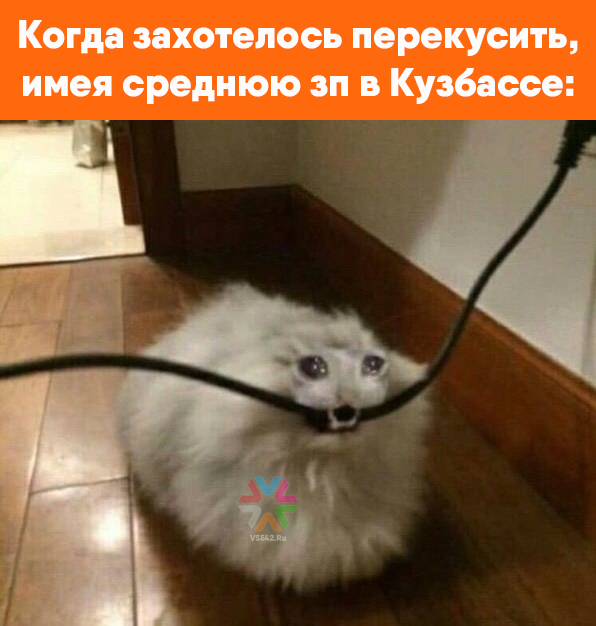 Колбаса и другие продукты подорожали в Кузбассе за неделю
vse42.ru/news/33577328