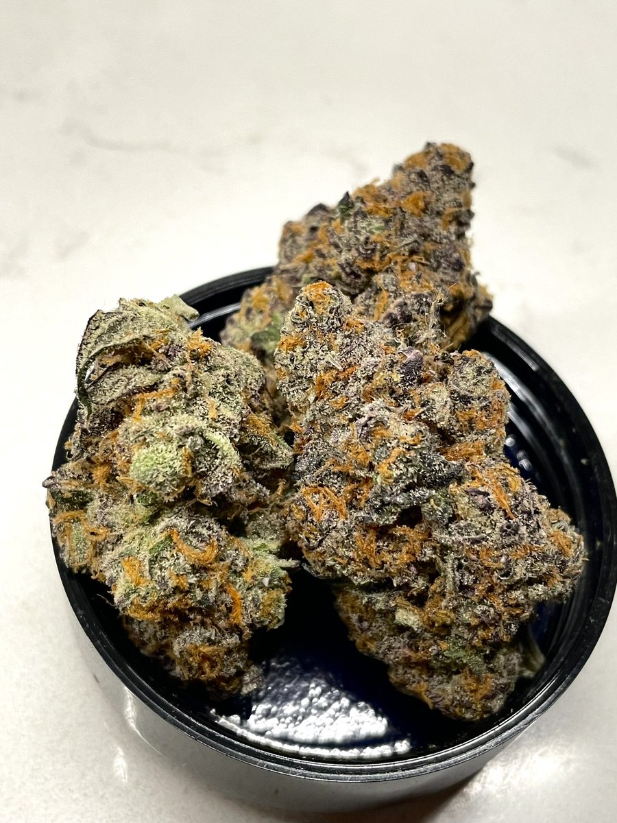 terphuntersla's tweet image. Blutonia #11 🧿🌀💠 (Project 4516 x E85 x Sticky ricky) 
Cultivated by #grandifloragenetics