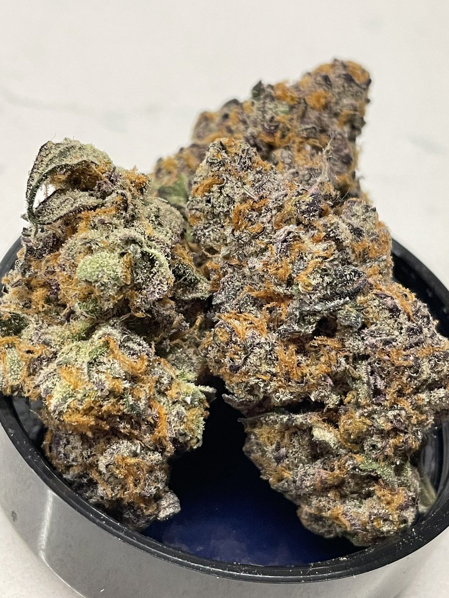 terphuntersla's tweet image. Blutonia #11 🧿🌀💠 (Project 4516 x E85 x Sticky ricky) 
Cultivated by #grandifloragenetics