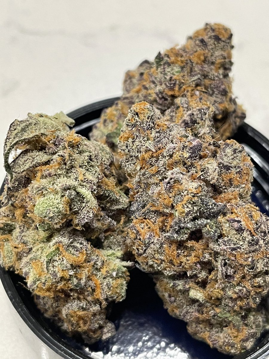 terphuntersla's tweet image. Blutonia #11 🧿🌀💠 (Project 4516 x E85 x Sticky ricky) 
Cultivated by #grandifloragenetics