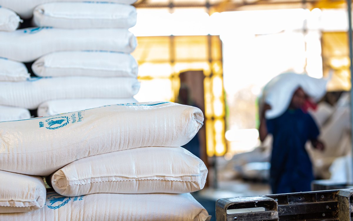 We are hiring❗️ @WFP_Tanzania is looking for: 📌Food Technologist: shorturl.at/chiCR. 📌Storekeeper: shorturl.at/dipu4. Learn more about these opportunities & apply by 10 April.