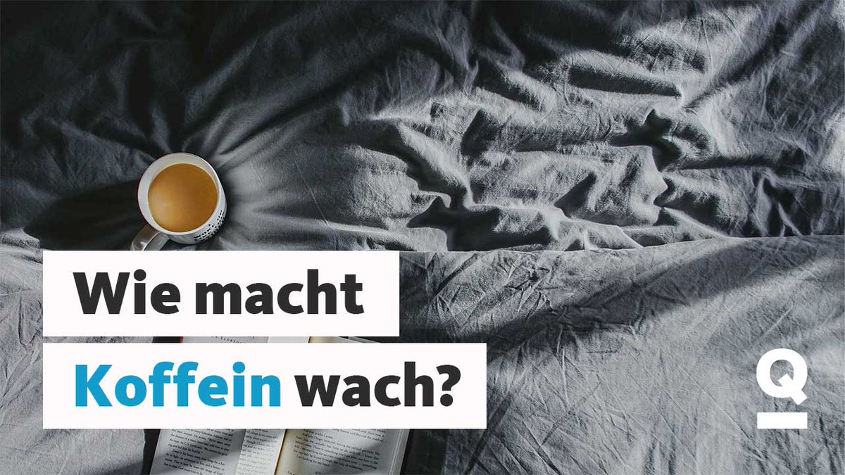 Wann trinkst du deinen Kaffee? Und beeinflusst das deinen Schlaf? ☕😴 quarks.de/allgemein/das-…