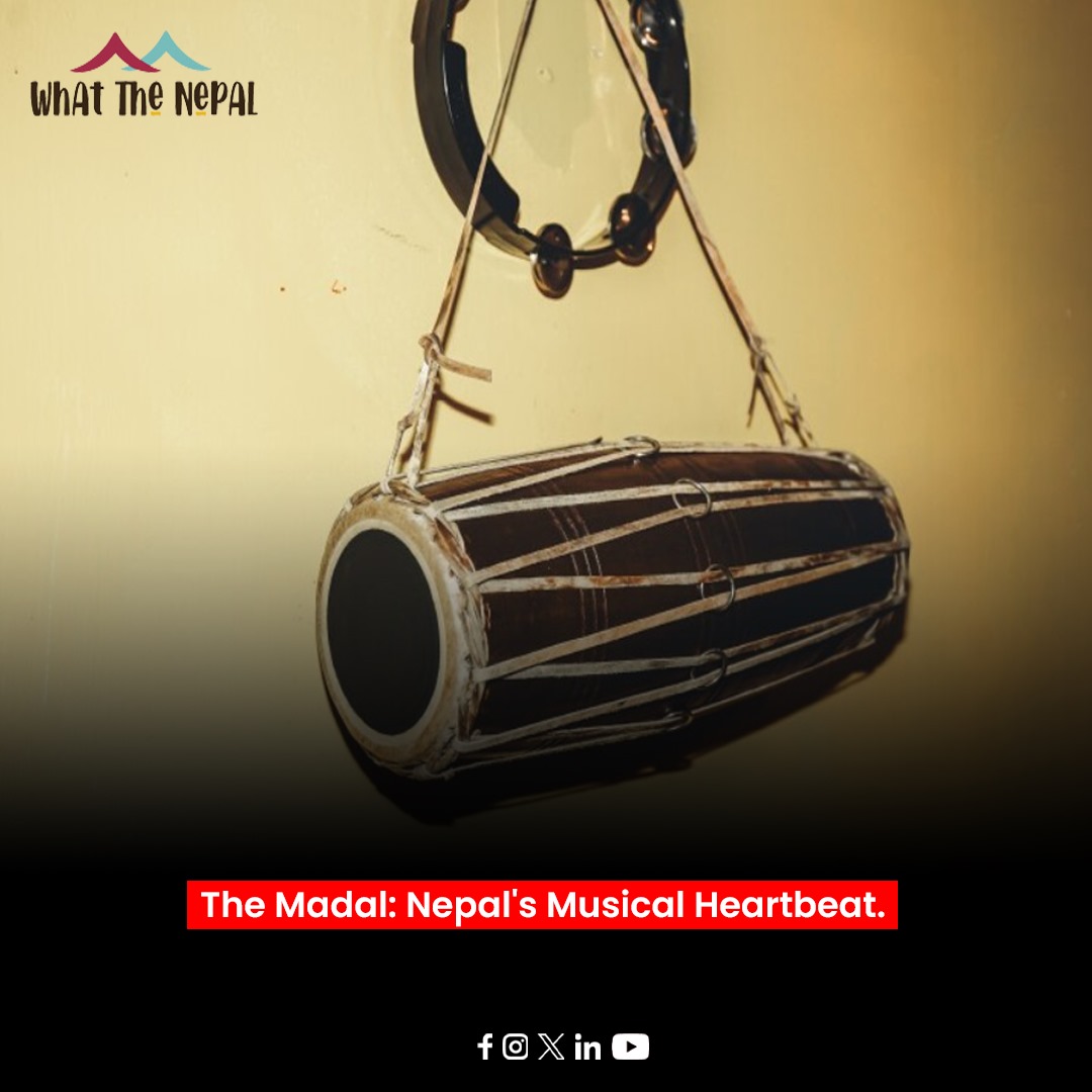 Read More: whatthenepal.com/2024/03/28/the…
#Nepal #madal #music #musicislife #musicalinstrument #MusicalHeritage #handdrum #handdrumming #FolkNepal #NepaliIdentity #culturalicons #RHYTHM #soulfulmusic #versatilefolk #beats #culture #CulturalHeritage #culturaldiversity #Whatthenepal