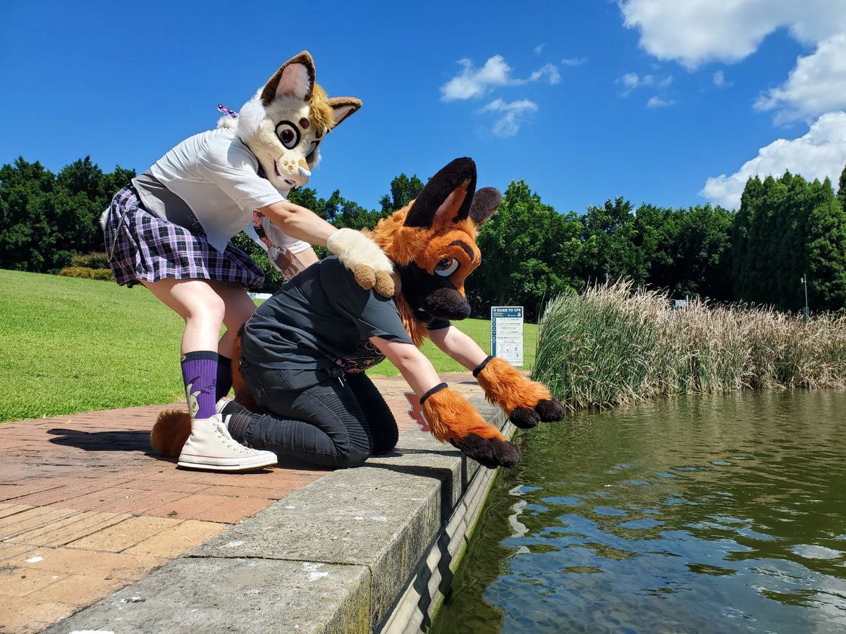Soup posting this #FursuitFriday ?? Yeah!!
<a href="/astralembers18/">Ember 🔜 ???</a> was hungry and saw a fish >:(