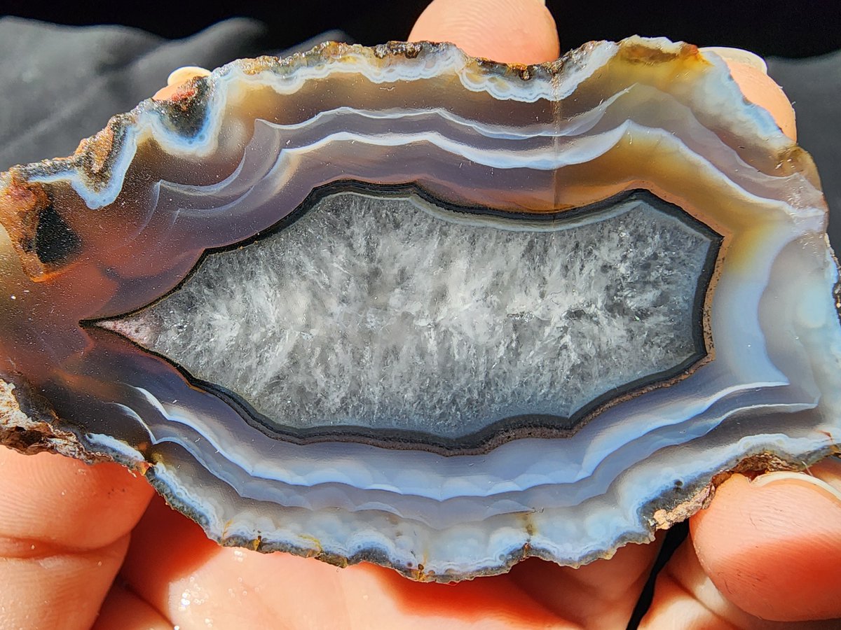 Banded Agate

#agate #achate #quartz #crystals #agatecollector #lagunaagate #coyamitoagate #agata #Collectibles #rocks #metamorphic #bandedagate #geologyrock #geology #mineralspesimens #nature撮影会 #naturelover #natural #NaturalBeauty #earth