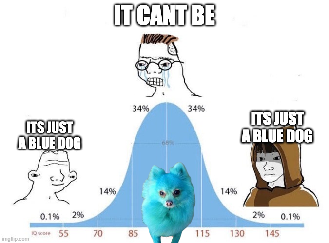 BlueDog tweet media