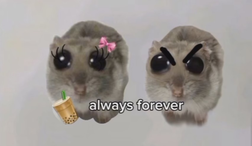 777skap's tweet photo. me &amp; my other personality<333 https://t.co/iFUGbGBcH9