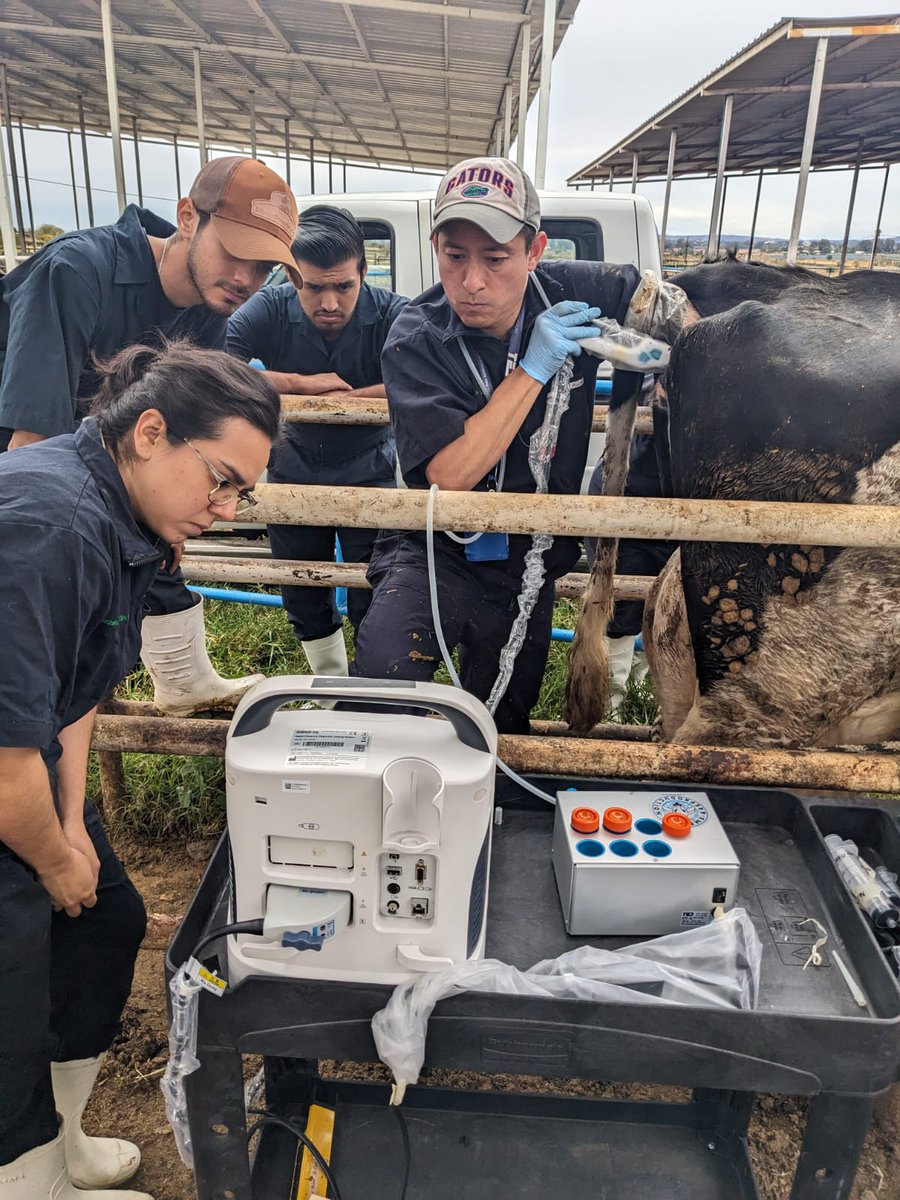 Eliab Estrada tweet media