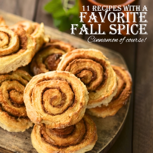 11 Recipes with a Favorite Fall Spice – Cinnamon! livefitness.top/11-Recipes-wit…