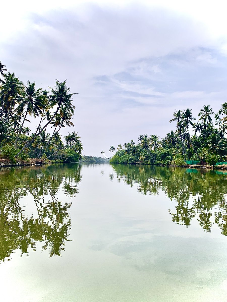 Poh Heng Chong (@starpalsph) on Twitter photo Taking in rustic perspectives at the backwaters of Kerala, India. Taking in rustic perspectives at the backwaters of Kerala, India.
