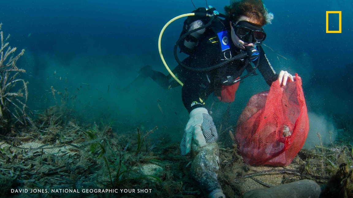 Eco_Renew_'s tweet photo. Do you know? Some 700 marine species have been reported to consume or become entangled in plastic debris. Let's take action to protect our oceans and marine life!
#PlasticPollution #MarineLife #Ecorenew" https://t.co/yN2GErss9F