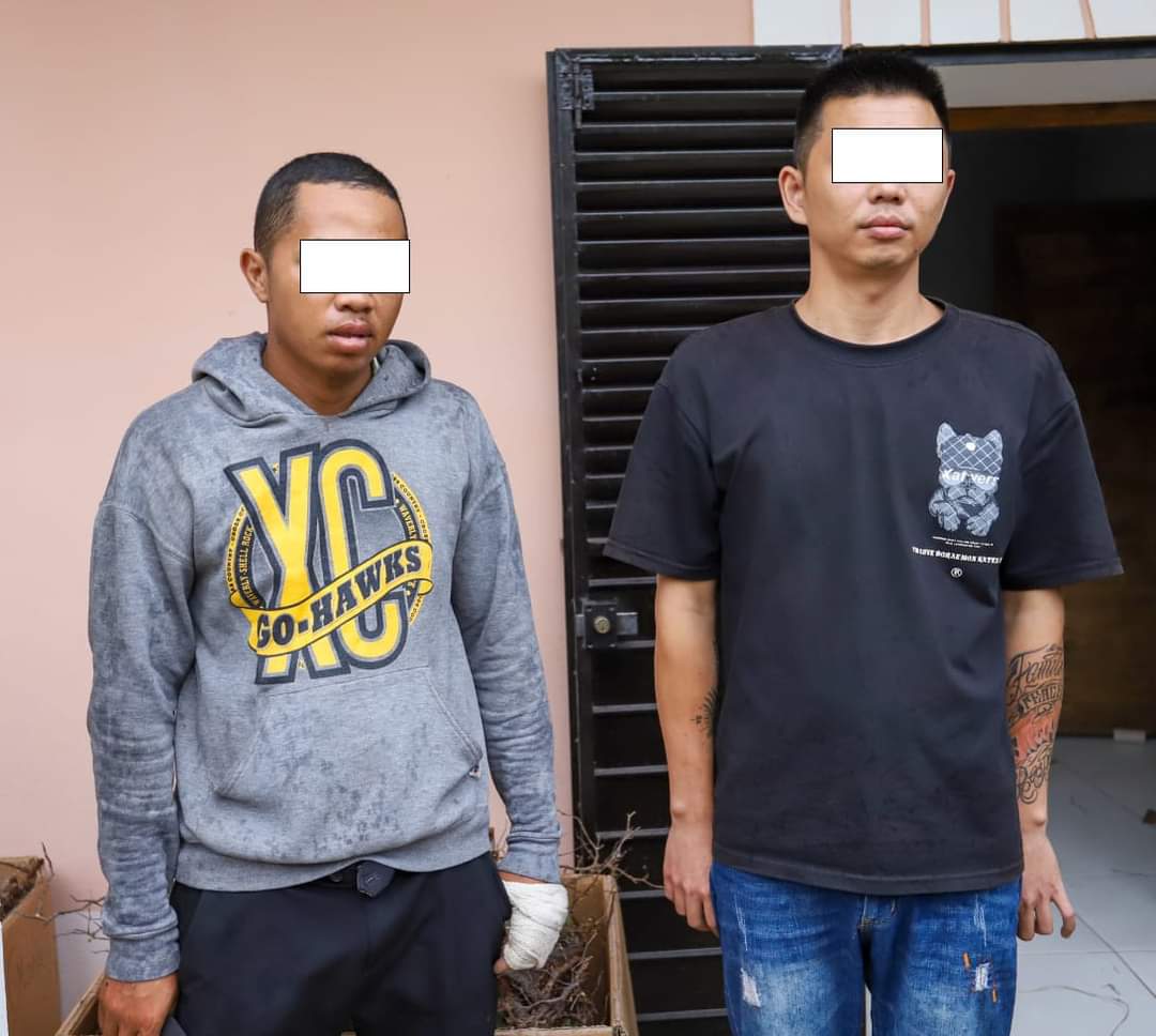 MeddMadagascar's tweet image. ⚖️Traffic de baobab nains: 650 pieds saisis à Antananarivo. L'opération coup de poing  contre le trafic illicite de #RessourcesNaturelles s'intensifie. Un chinois et trois malagasy en détention préventive.
#NumeroVert955