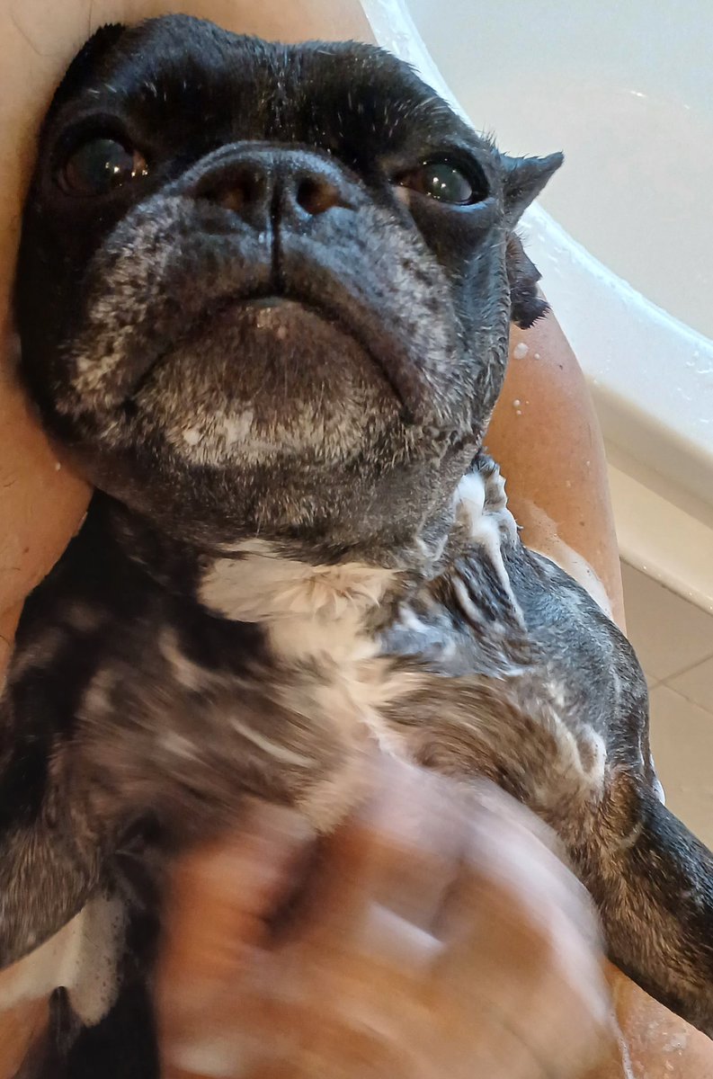 お風呂😌♨️に入って
キレイキレイにしましゅ