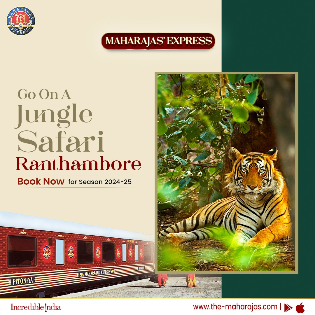 Start your day with a safari in Ranthambore National Park after a restful night in your Suite.

Click on the-maharajas.com to book a journey aboard Maharajas' Express.

#ADayWithMaharajasExpress #incredibleindia #india #maharajasexpress #LuxuryTrainTravel #maharajas