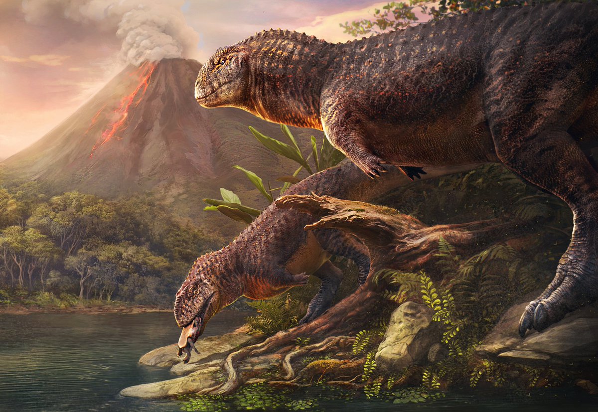 Even more turtles! This one features a pair of Indosuchus scavenging by the banks. :)

The Lameta formation- India around 66 million years ago.