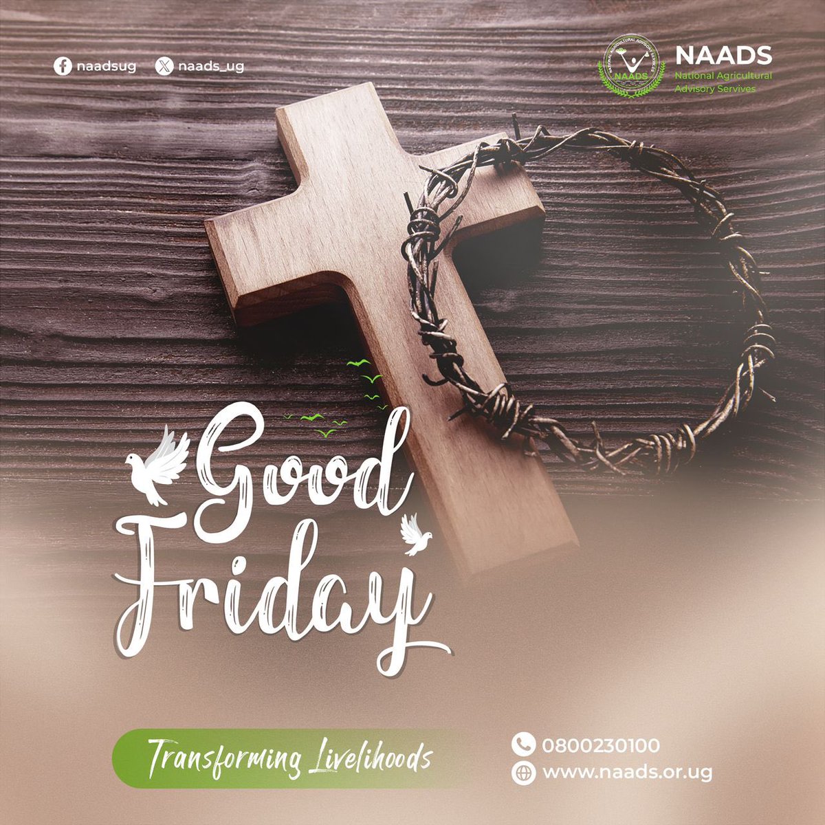 As we commemorate the crucifixion of Jesus Christ, may we remember his teachings of compassion and mercy. Have a blessed Good Friday! #GoodFriday2024 #NAADSTransforminglivelihoods