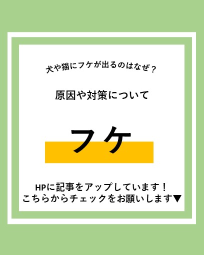 ALL_AH_group's tweet photo. 犬や猫にフケが出るのはなぜ？もしかしたら病気のサイン？原因や対策をご紹介します。
https://t.co/6iUPz9Z1zM
#犬好きな人と繋がりたい　#猫好きな人と繋がりたい　#犬ふけ　#猫ふけ https://t.co/1W3H7ICpHx
