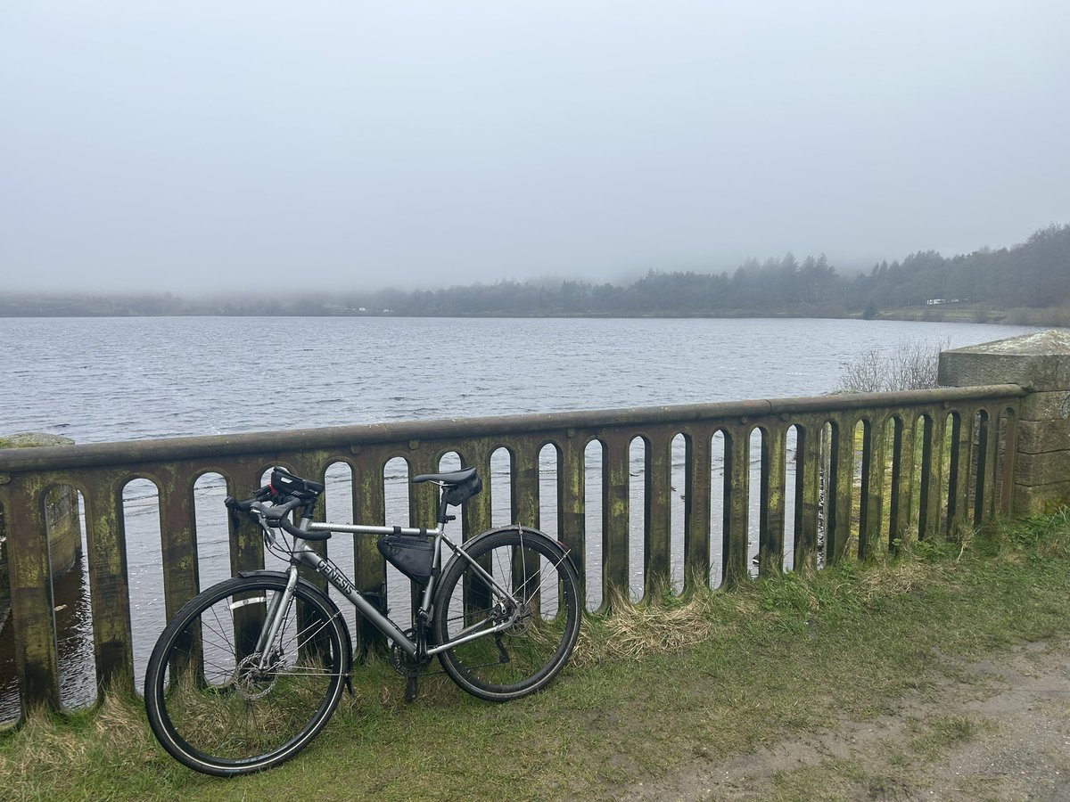 llamasteve tweet media