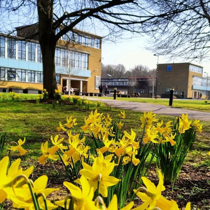 We'd like to wish those celebrating a Happy Easter 🐰 The main University, including our Social Media response team, will be closed on Good Friday (29 March) to Easter Monday (1 April). If you need any assistance during the Easter break click here: ow.ly/W1AV50NsGzt