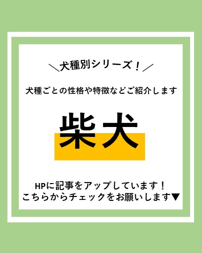 ALL_AH_group's tweet photo. 犬種別シリーズ！犬種ごとの性格や特徴などご紹介します。～柴犬編～
https://t.co/MdYXAi8sew
#犬　#柴犬　#柴犬がいる暮らし 　#犬好きな人と繋がりたい https://t.co/s80mH7uGXM