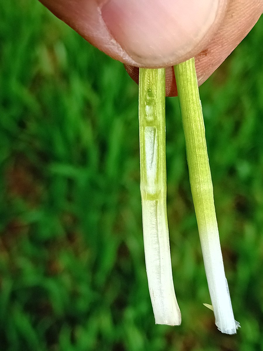 GREY Sébastien tweet media