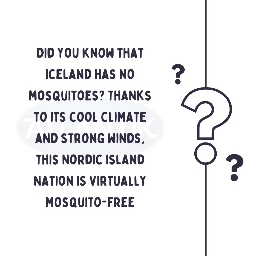 destinations Unlimited tweet media