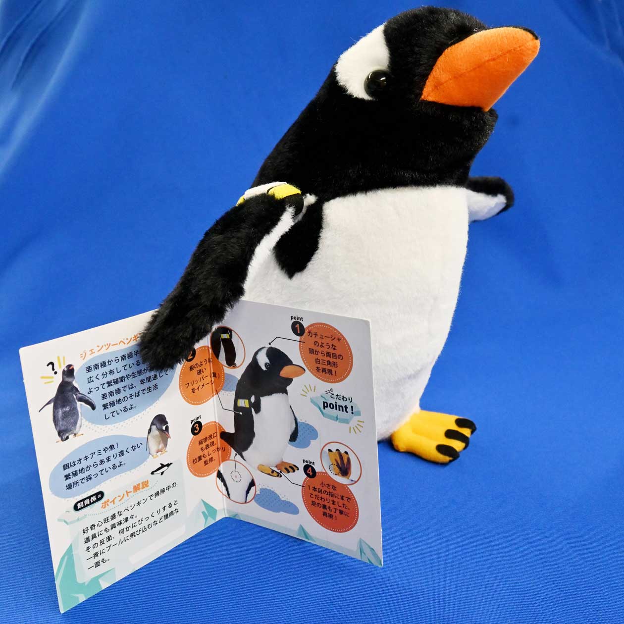 名古屋港水族館 on X: 