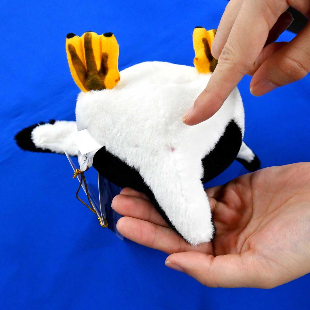 ショップオリジナルぬいぐるみ、リアルシリーズの #ジェンツーペンギン