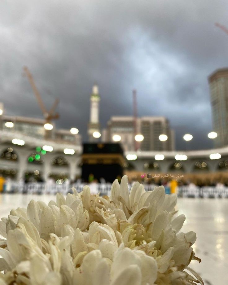 Jumma Mubarak to all Muslims 💞

ٱللَّـﮬـُمَّ صـَلِِّےوَسَلِّـمْ؏َـلَےنَبِيِّنَا مُحَمـَّدْﷺ❤
            محمـــــــــﷺ ــــــــــد❤

Remember me in your prayers 🙏💕🤲